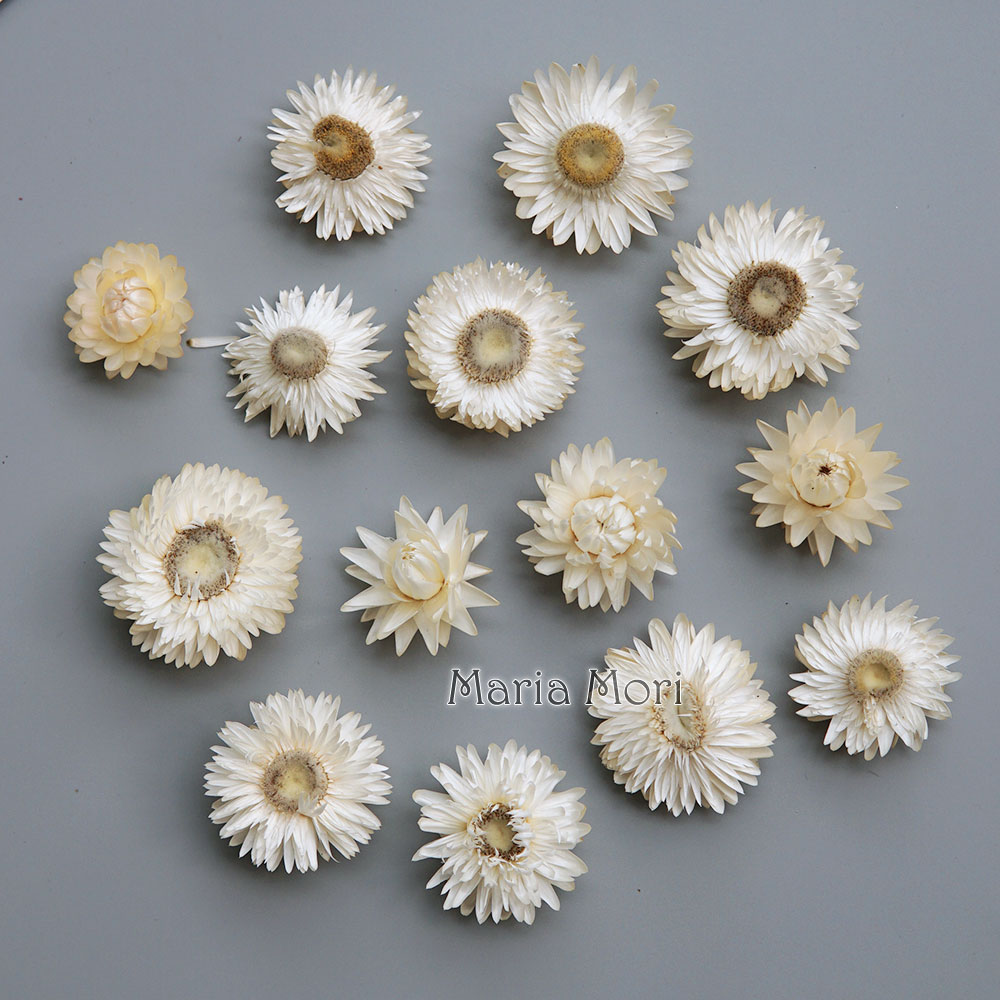 Natural Dried Colorful Chrysan - đánh giá và giá Candle Making At Home
