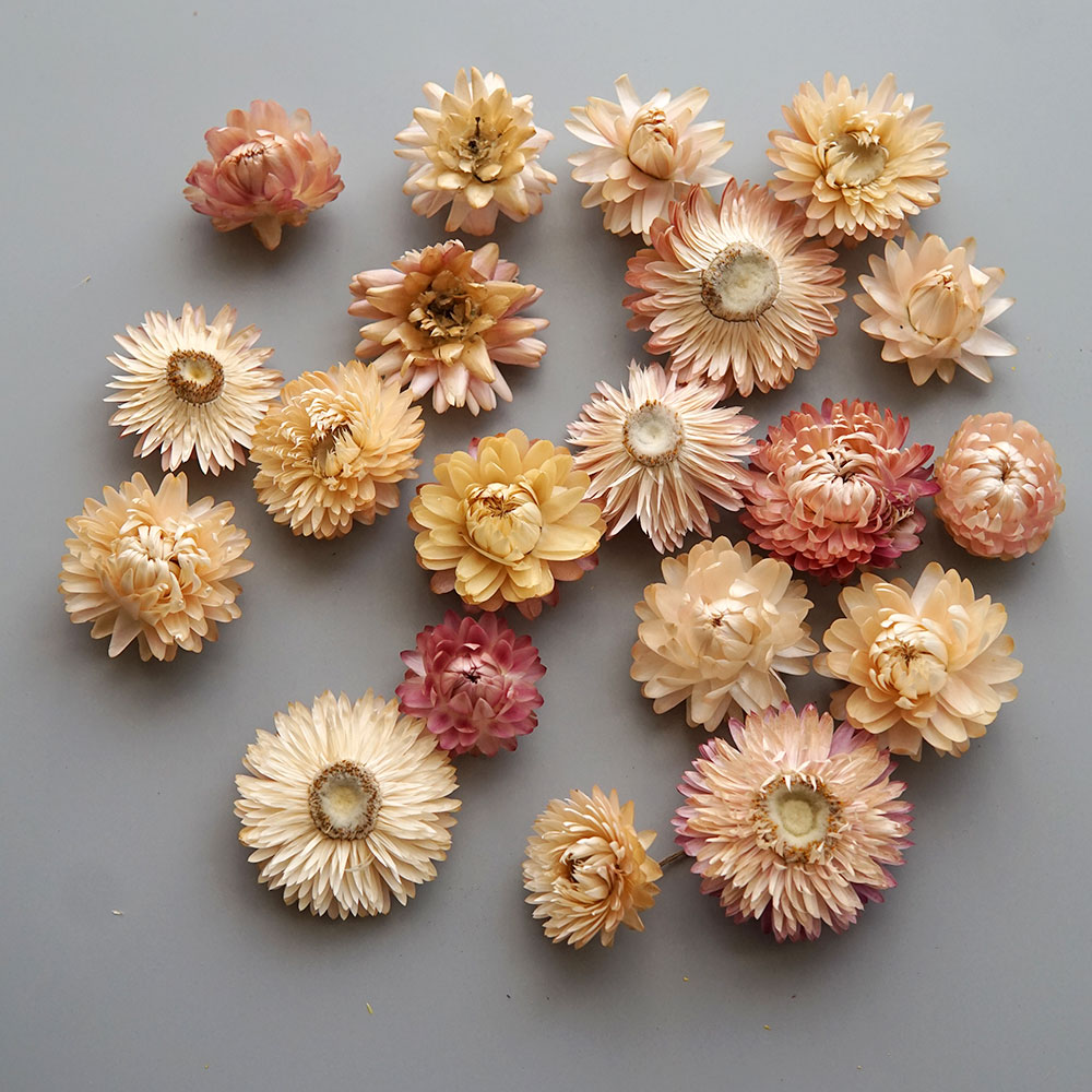 Natural Dried Colorful Chrysan - đánh giá và giá Candle Making At Home